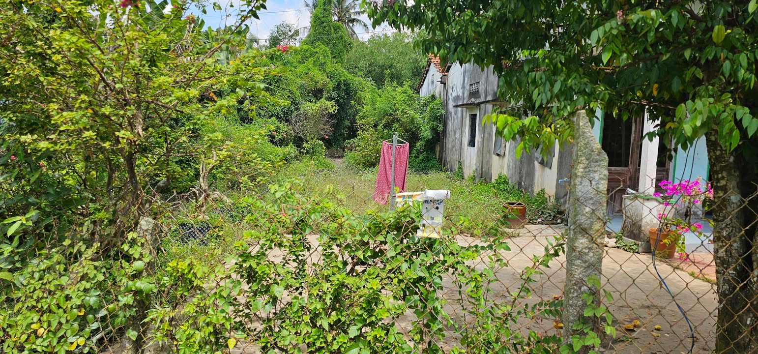 Đất thổ cư Tân Dương 700m² giá 1.5 tỷ - Đầu tư sinh lời ngay!