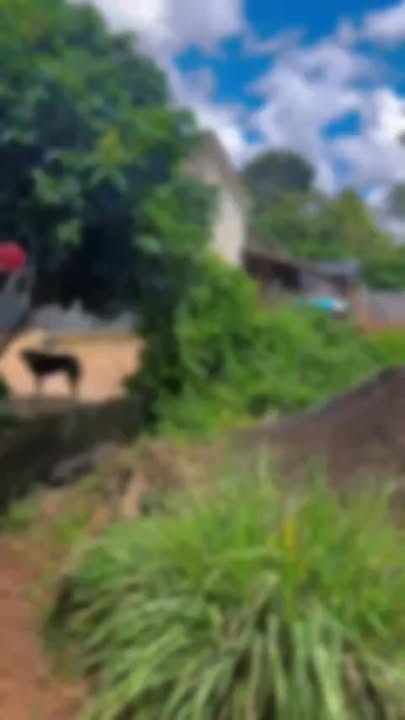 Đất nền Đạt Hiếu, Buôn Hồ 390m² giá chỉ 1.35 tỷ - Cơ hội đầu tư tuyệt vời!