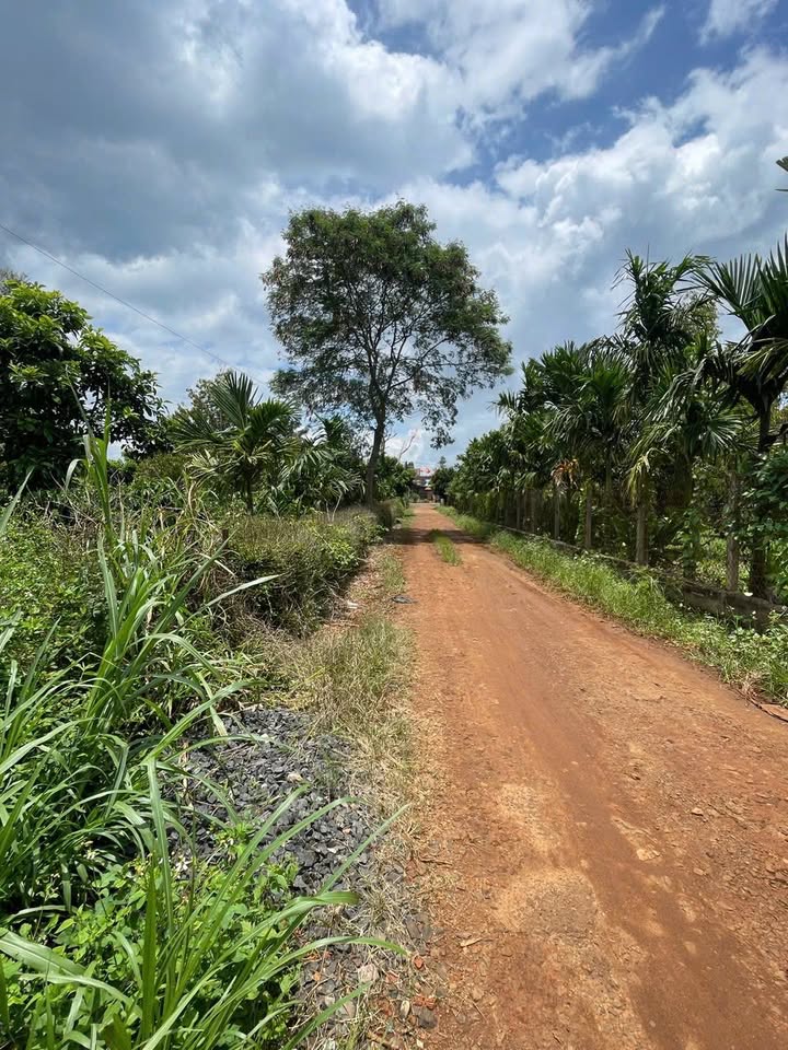 Đất nền Cư Bao, Ea Kar 200m² giá 1.5 tỷ - Vị trí đẹp, tiện ích xung quanh!