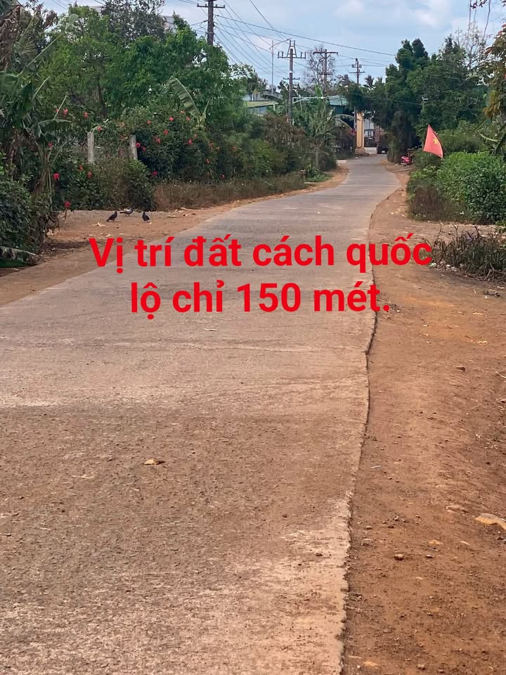 Đất nền mặt tiền đường chính xã Ea Kly 180m² giá 100 triệu - Đầu tư sinh lời ngay!