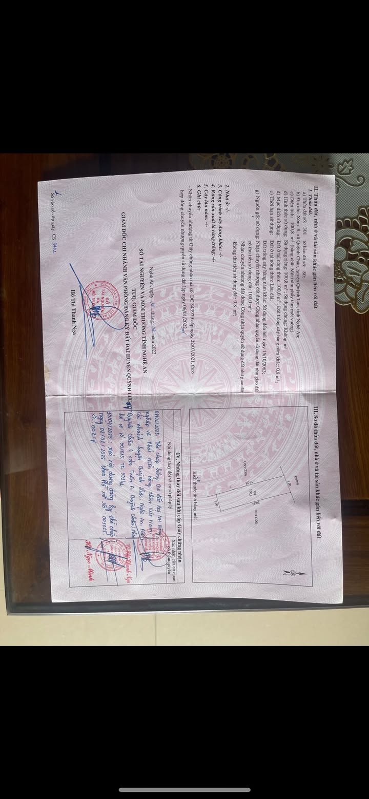 Đất nền Quỳnh Lưu Nghệ An 100m² giá 2.275 tỷ - Sổ đỏ chính chủ, vị trí đắc địa!