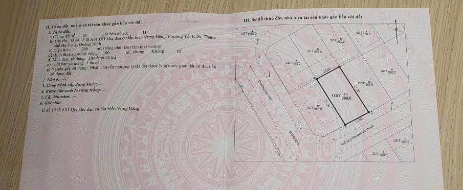 Bán gấp biệt thự Vựng Đăng Hạ Long 300m² giá 18 tỷ - Cơ hội đầu tư lý tưởng!