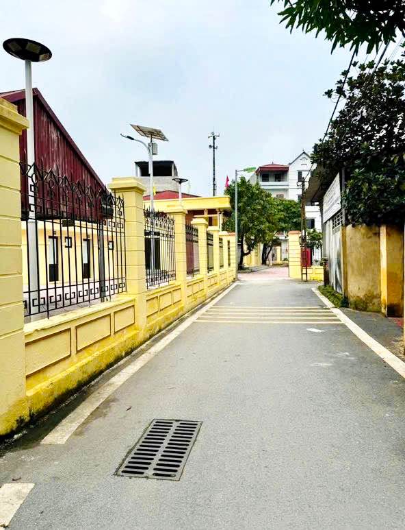 Đất mặt đường Hạnh Đàn, Đan Phượng 41.5m² giá 5 tỷ - Cơ hội vàng cho đầu tư!