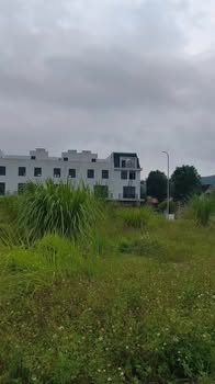 Đất nền khu đô thị Thái Hoà, Long Sơn 133m² giá 1.3 tỷ - Đầu tư lý tưởng