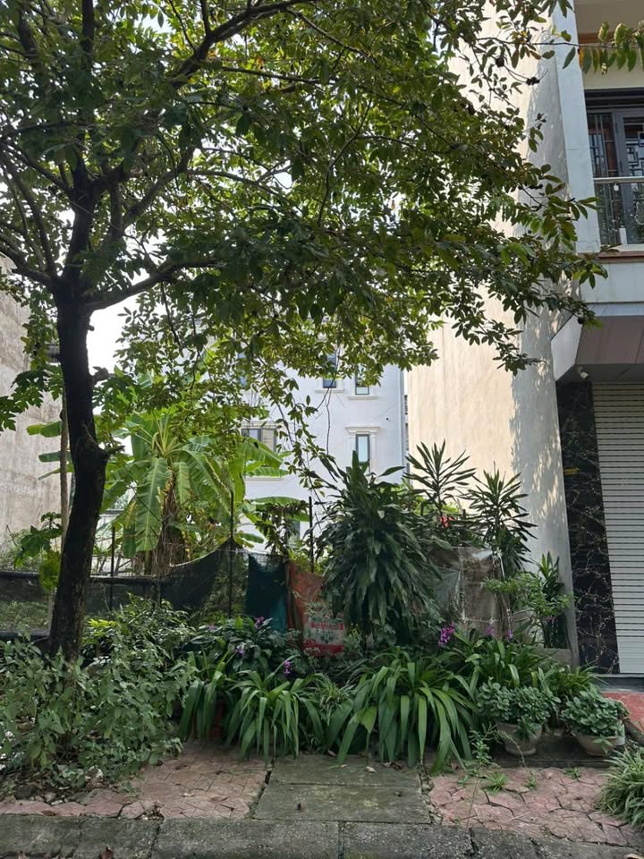 Đất nền KĐT Minh Phương, Việt Trì 76.5m² giá 3.4 tỷ - Chính chủ bán gấp!