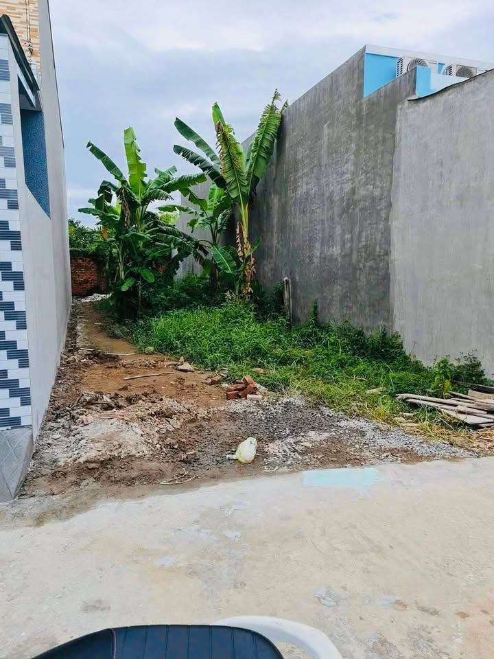 Đất nền đường Trần Thị Thơm, Phường Mỹ Phong, 120m² - Đầu tư sinh lời ngay!