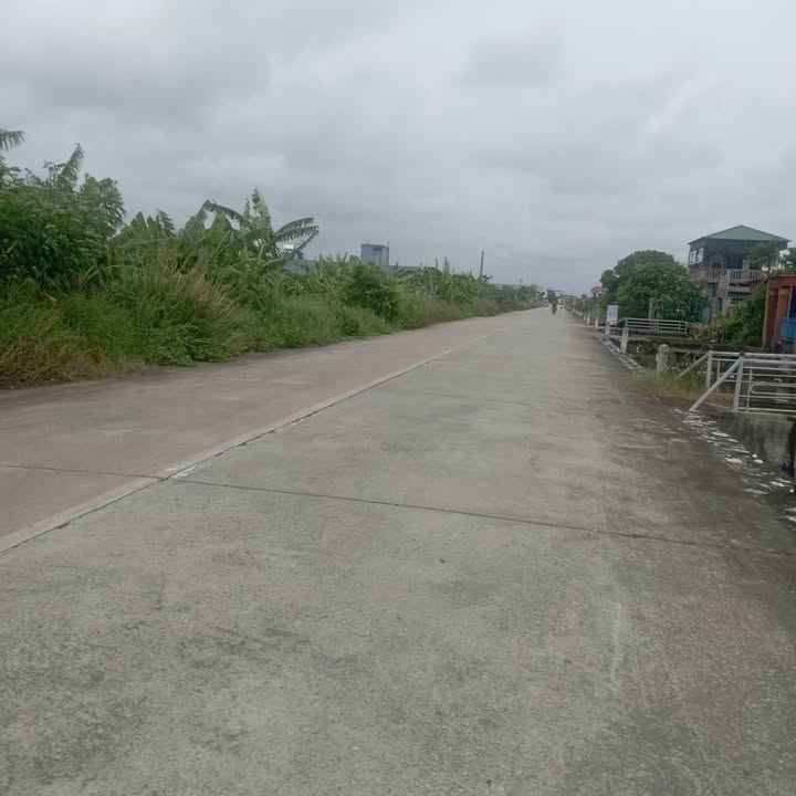 Đất mặt đường Thái Giang, Thái Thụy 100m² giá 1.3 tỷ - Tiềm năng kinh doanh lớn!
