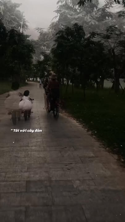 Nhà hẻm Trần Văn Ơn, Phú Hòa, 101m², giá chỉ 2.95 tỷ - Cần bán gấp!