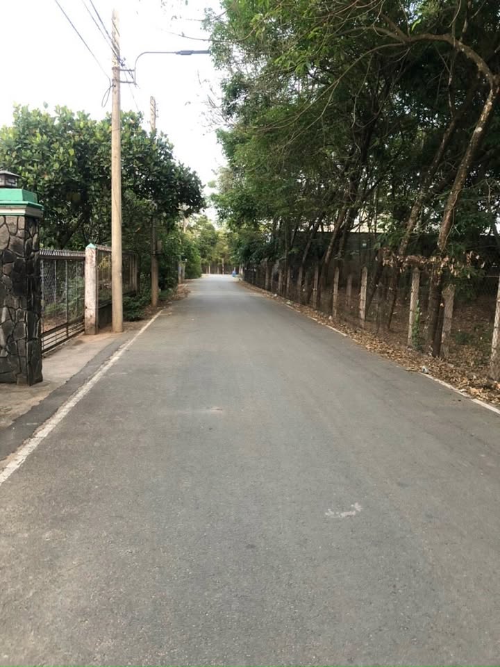 Đất nền đẹp đường DX68, Định Hòa, Thủ Dầu Một 1162m² - Giá cực hấp dẫn chỉ 7.3 tỷ!