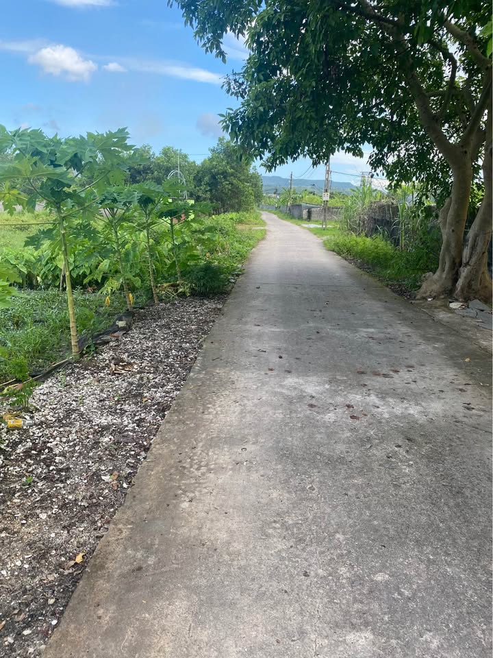 Đất nền Thống Nhất Hạ Long 1600m² giá 4 tỷ - Đầu tư sinh lời ngay!