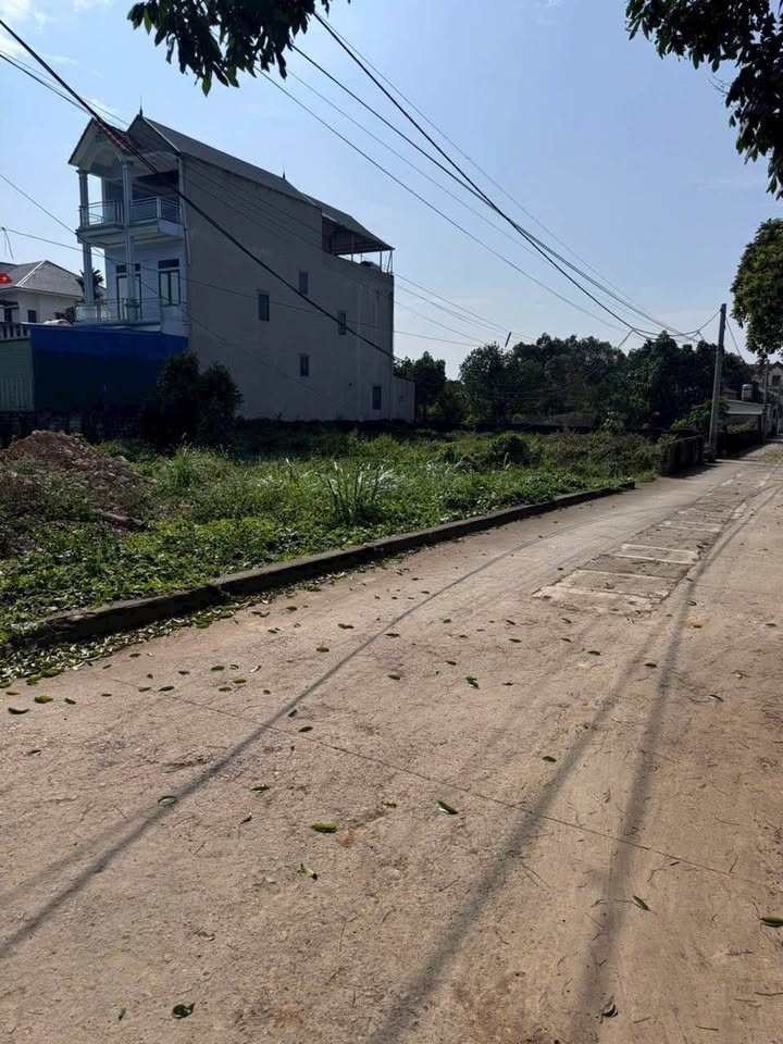 Đất nền khu phố Cây Đa, Mỹ Lương, Chương Mỹ 305m² giá 3.05 tỷ - Cơ hội đầu tư hiếm có!