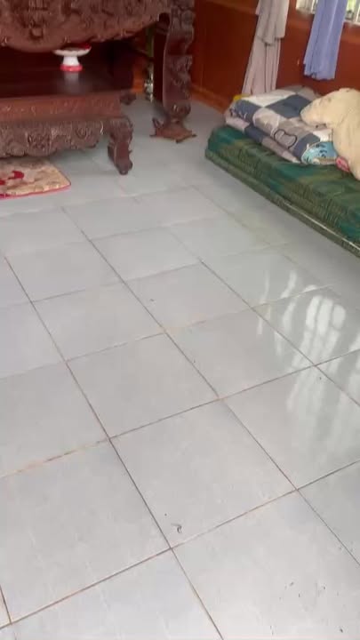 Nhà nguyên căn Hòa Phú, Buôn Ma Thuột 750m² giá 2.5 triệu - Không gian sống lý tưởng!