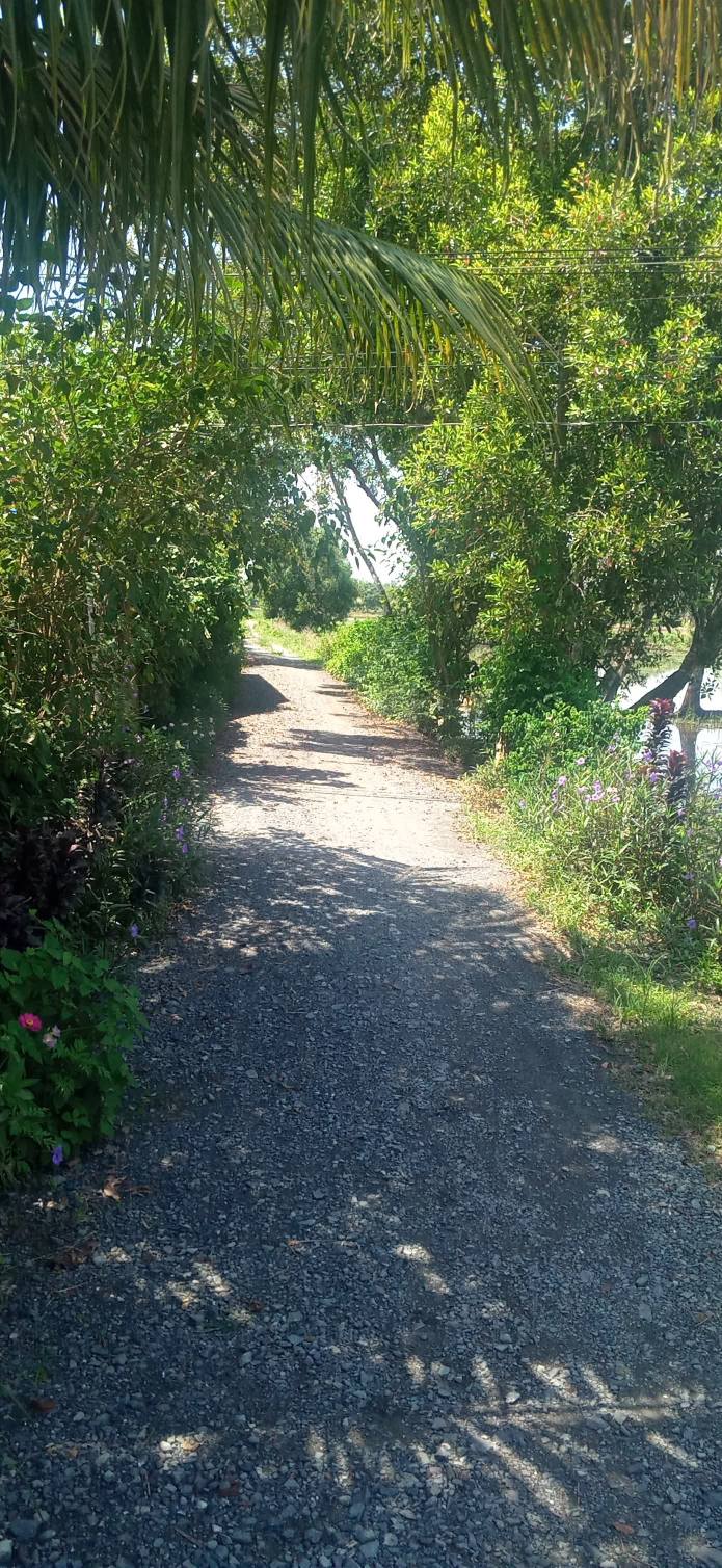 Đất nền Hòa Khánh Nam Đức Hòa 1702m² giá 2.875 tỷ - Mặt tiền đường ô tô