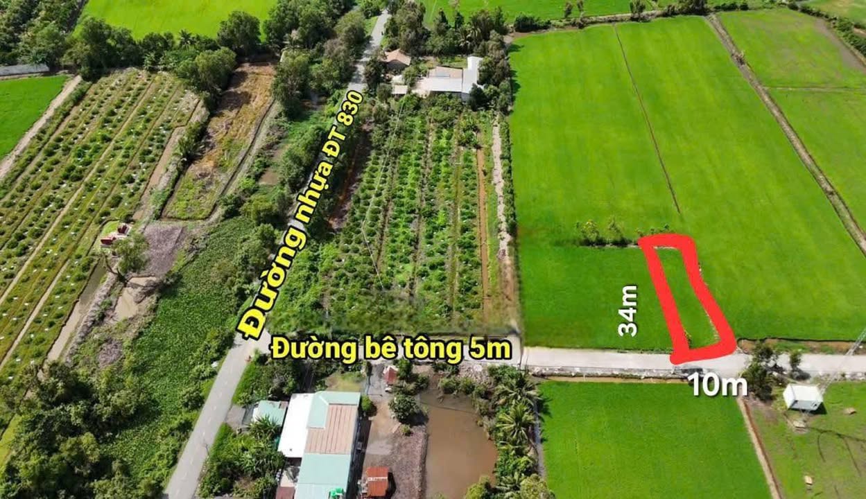 Đất nền Hòa Khánh Nam, Đức Hòa - 340m² giá 1.26 tỷ - Cơ hội đầu tư lý tưởng!