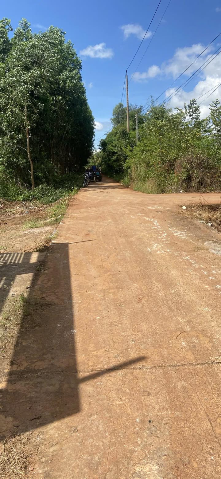 Đất nền tại Hòa Hiệp, Xuyên Mộc, 1035m² giá 1.6 tỷ - Cơ hội đầu tư hấp dẫn!