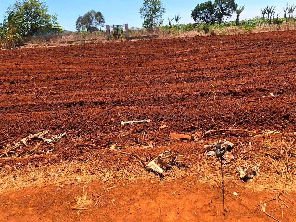 Đất nền Đất Đỏ 517m² giá 1.05 tỷ - Đầu tư sinh lời ngay hôm nay!