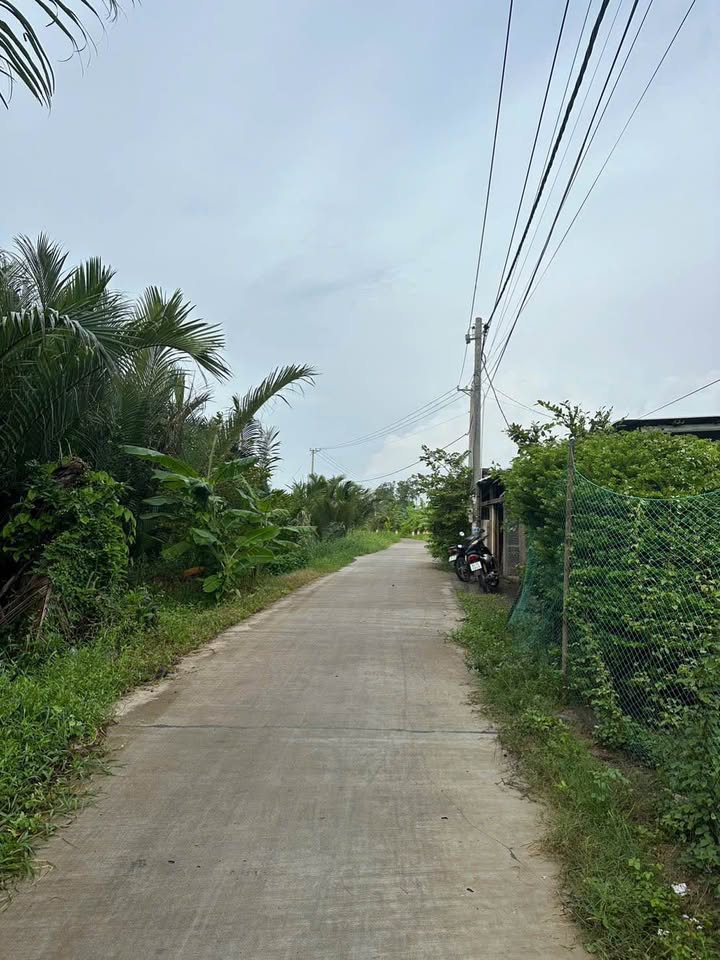 Đất mặt tiền Long Hòa, Châu Thành, Trà Vinh 1225m² - Giá chỉ 1.365 tỷ, thương lượng ngay!