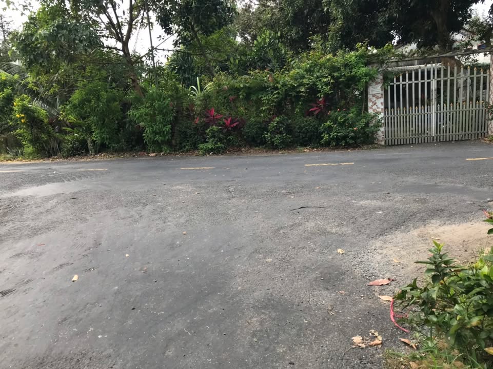 Đất mặt tiền 600m² tại Cái Bè giá 1,4 tỷ - Cơ hội đầu tư sinh lời!