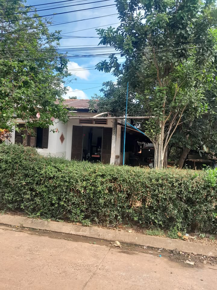 Đất thổ cư 260m² tại Xuân Đường, Đồng Nai giá chỉ 1.25 tỷ - Cơ hội đầu tư tuyệt vời!