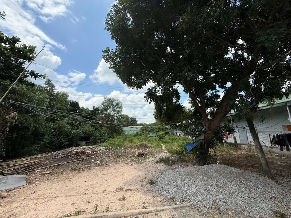 Đất nền Chánh Phú Hòa Bến Cát 933m² giá 5.8 tỷ - Đầu tư sinh lời ngay!