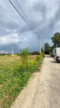 Đất nền Mỹ Lộc, Cần Giuộc, Long An 130m² giá 1.38 tỷ - Sổ hồng chính chủ!