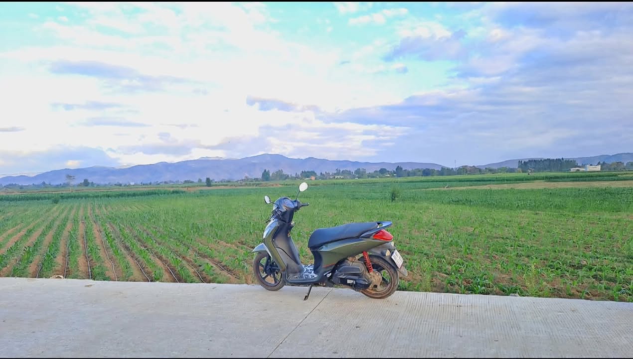 Đất nền đường Liên Xã Mới, xã Ia Tul, 1800m² chỉ 300 triệu - Đầu tư lâu dài