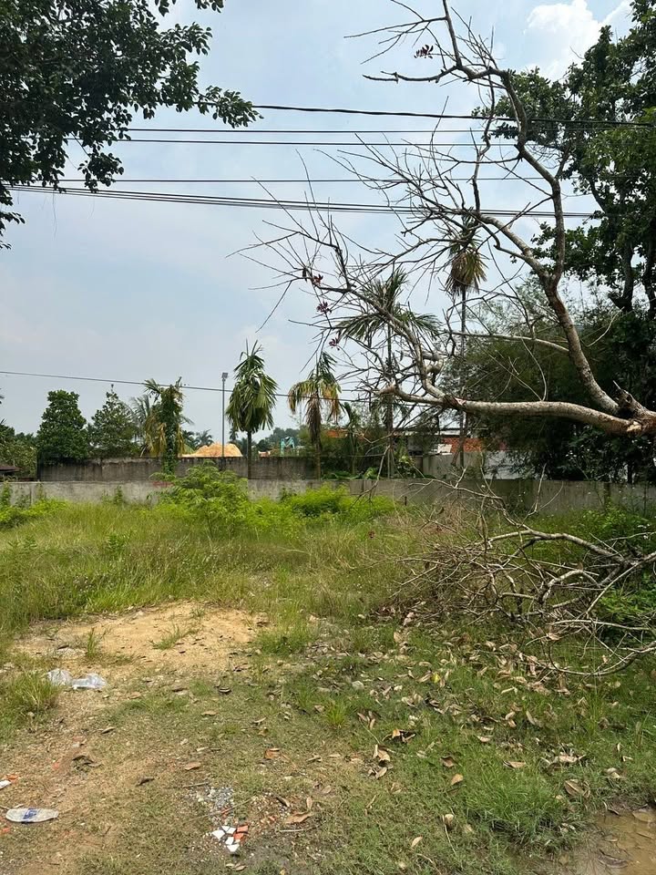 Đất nền Bình Mỹ Củ Chi 100m² giá 2.5 tỷ - Mặt tiền kênh thoáng mát, xây dựng tự do!