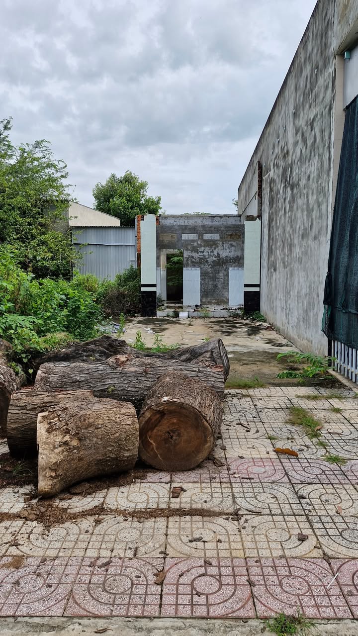 Đất thổ cư 76m² tại Hồng Ngự, Đồng Tháp - Giá chỉ 1 tỷ, vị trí đắc địa!