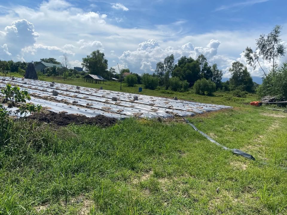 Đất Farm 2000m² tại xã Hòa Trí, Ninh Hòa giá 200 triệu - Đầu tư sinh lời