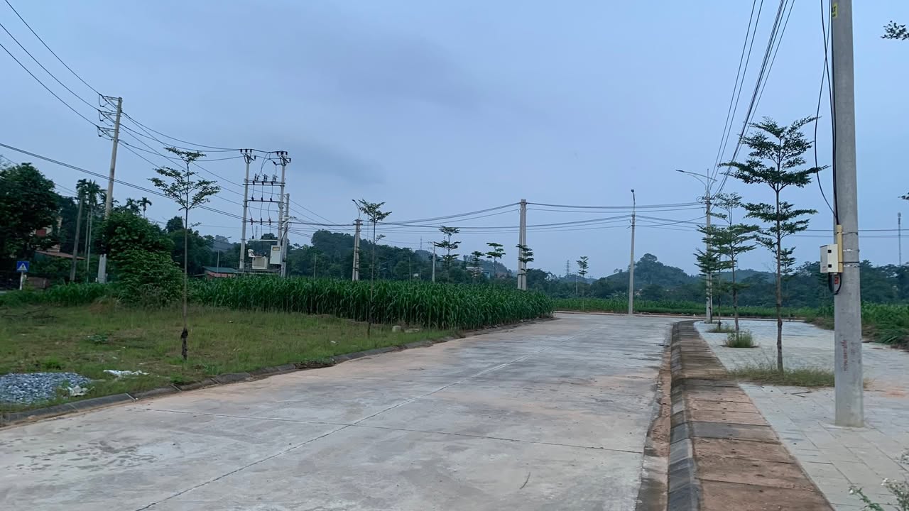 Đất nền TDC Trần Phú Yên Bái 200m² chỉ từ 1.1 tỷ - Đầu tư sinh lời ngay!