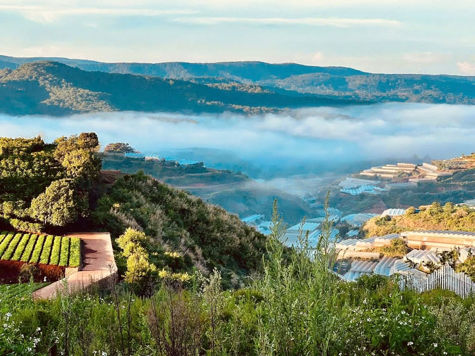 Đất biệt lập Xuân Thọ Đà Lạt 912m² giá 16 tỷ - View thung lũng tuyệt đẹp!