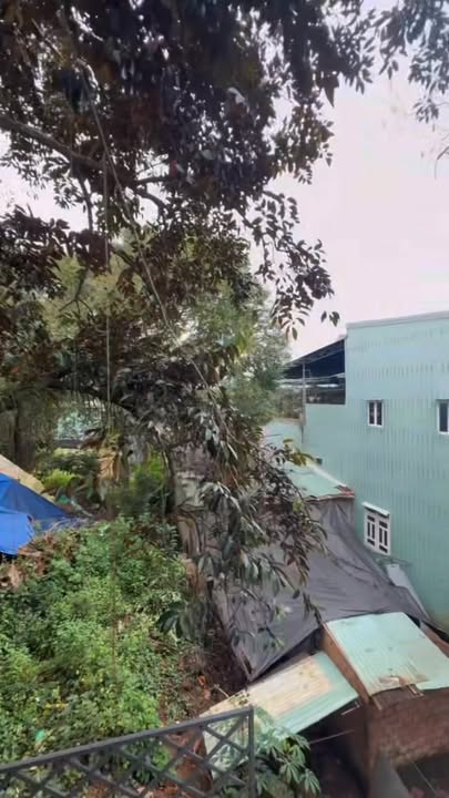 Nhà hẻm Mạc Đăng Dung, P. Hội Phú, 133m² giá 3.2 tỷ - Ô tô vào tận nơi!