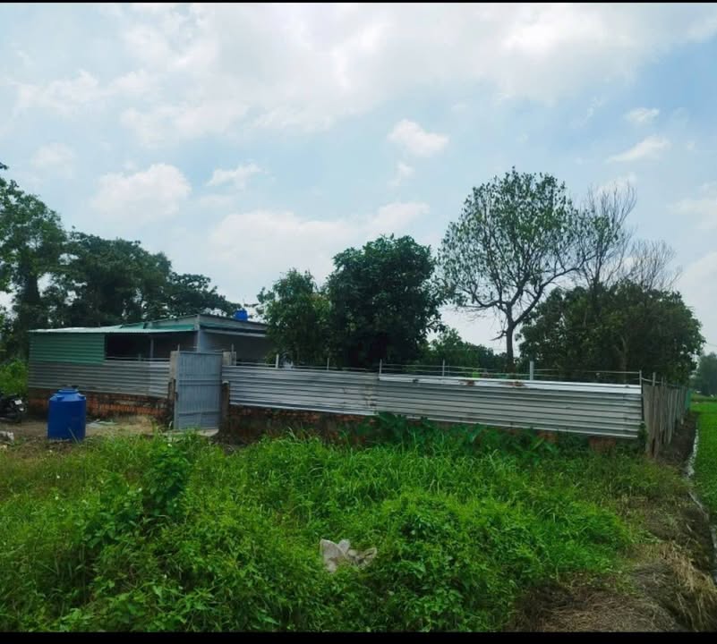 Nhà vườn 1000m² đường Thới Tam Thôn, Hóc Môn chỉ 2.8 tỷ - Tiềm năng phát triển lớn!