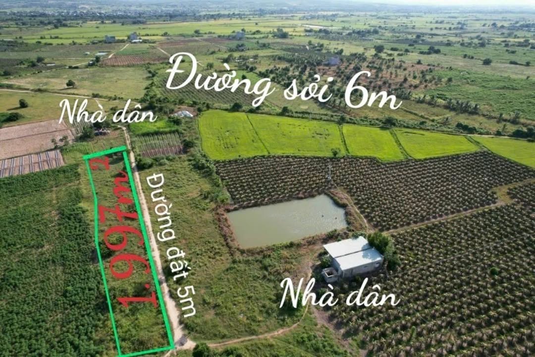 Đất nền xã Phan Thanh, Bắc Bình 1997m² giá 250 triệu - Cơ hội đầu tư hấp dẫn!