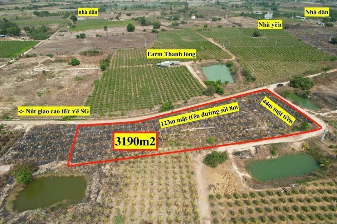 Đất nền Phan Thanh, Bắc Bình 3200m² giá 350 triệu - Sổ đỏ chính chủ, 2 mặt tiền ô tô