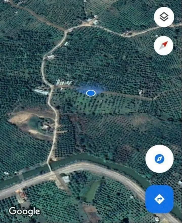 Đất farm 31,714m² tại xã Sông Lũy, Bình Thuận - Cơ hội đầu tư tuyệt vời!