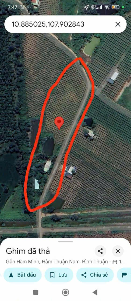 Lô đất nông nghiệp 7000m² xã Hàm Minh, giá 1.5 tỷ - Cơ hội đầu tư tuyệt vời!