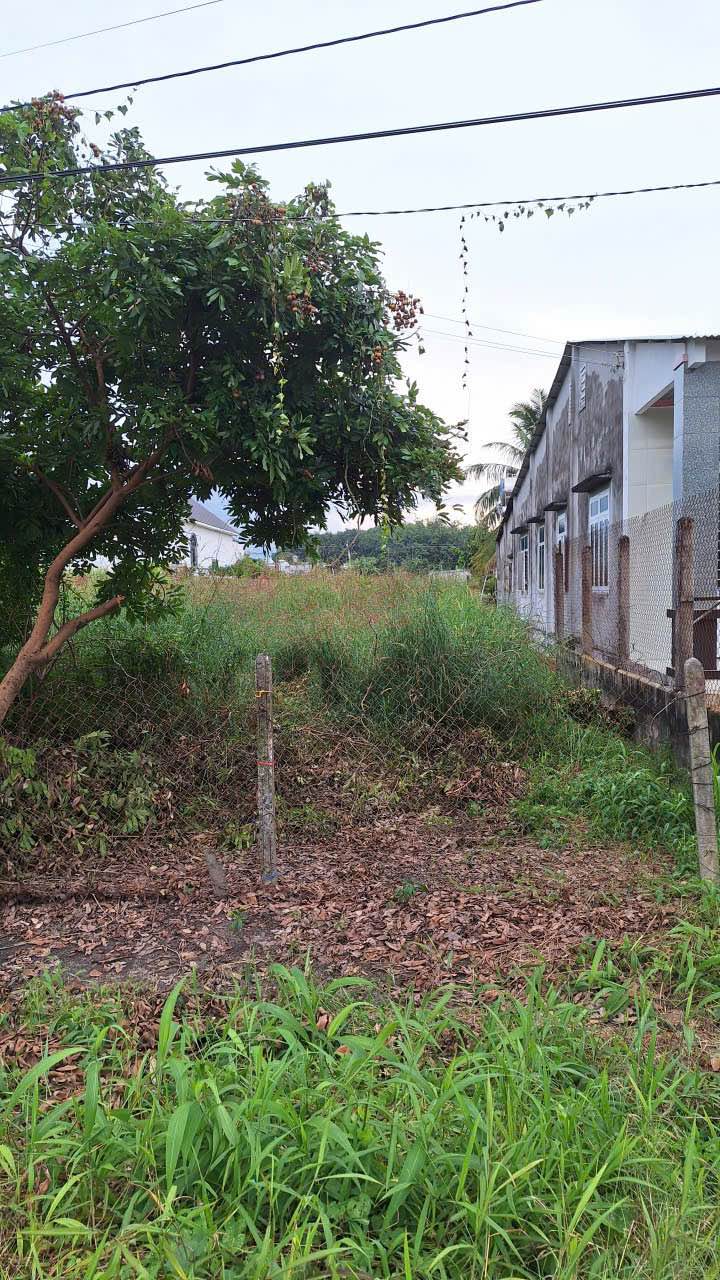 Đất mặt tiền đường Trường Tây, P. Long Hoa, Tây Ninh 308m² giá 814 triệu - Cơ hội đầu tư hấp dẫn!