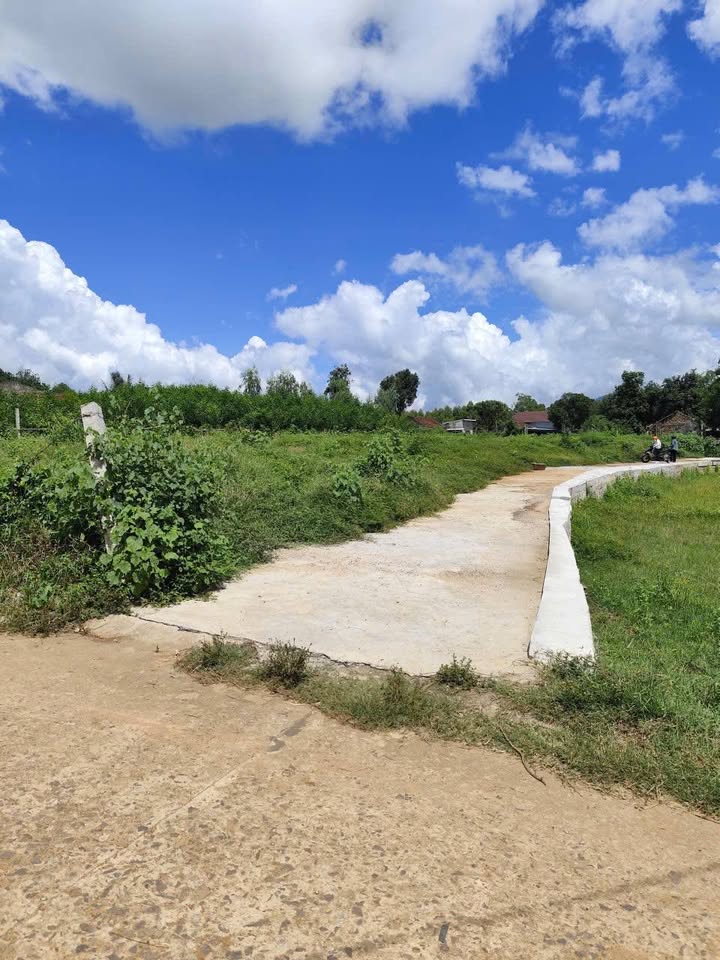 Đất nền Cát Tân, Phù Cát 165m² giá 200 triệu - Đường ô tô tới nơi!