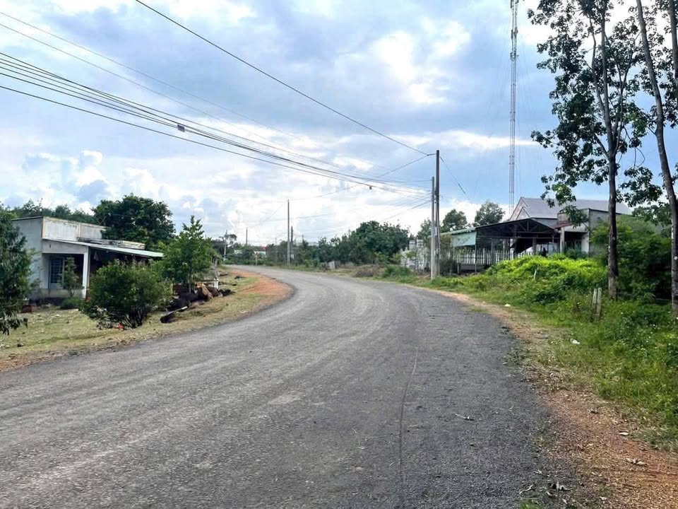 Đất nền Phú Trung Phú Riềng 250m² giá chỉ 200 triệu - Đường nhựa, dân cư đông đúc!