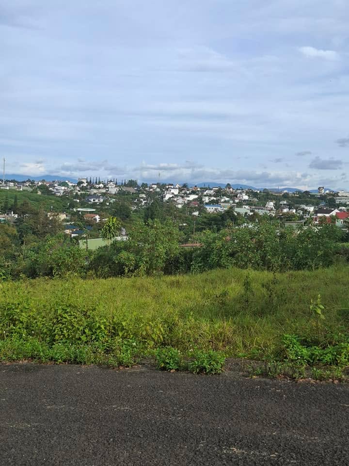 Đất nền Hẻm nhựa Nguyễn Trãi, Bảo Lộc 500m² giá 3.2 tỷ - Cơ hội đầu tư hấp dẫn!