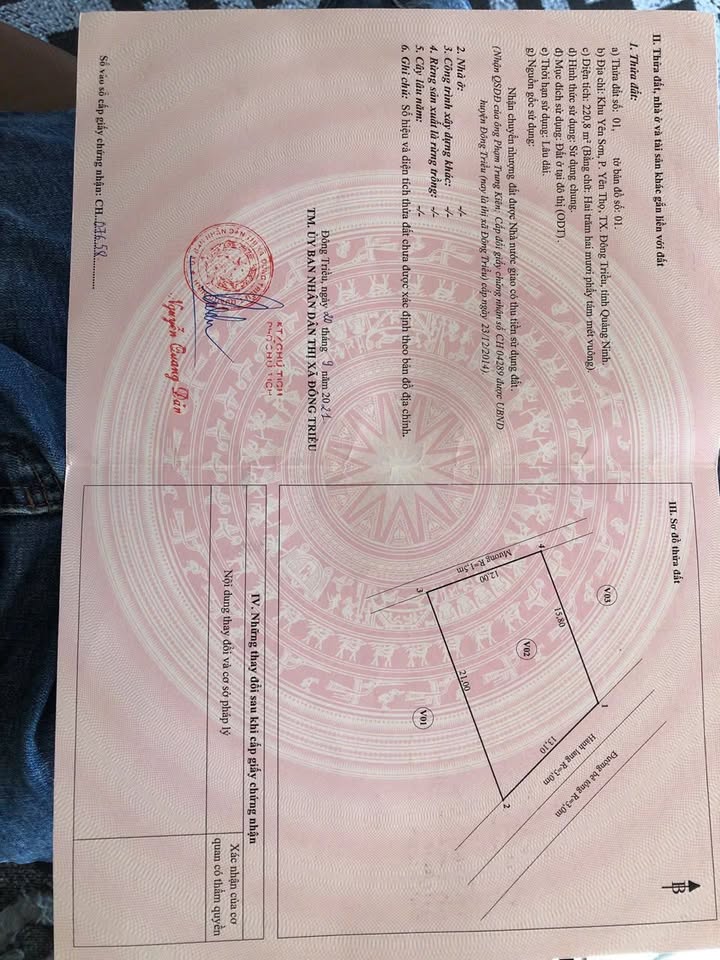 Đất nền Khu Yên Sơn, Mạo Khê 220.8m² giá 1.3 tỷ - Sổ đỏ chính chủ, đầu tư sinh lời!