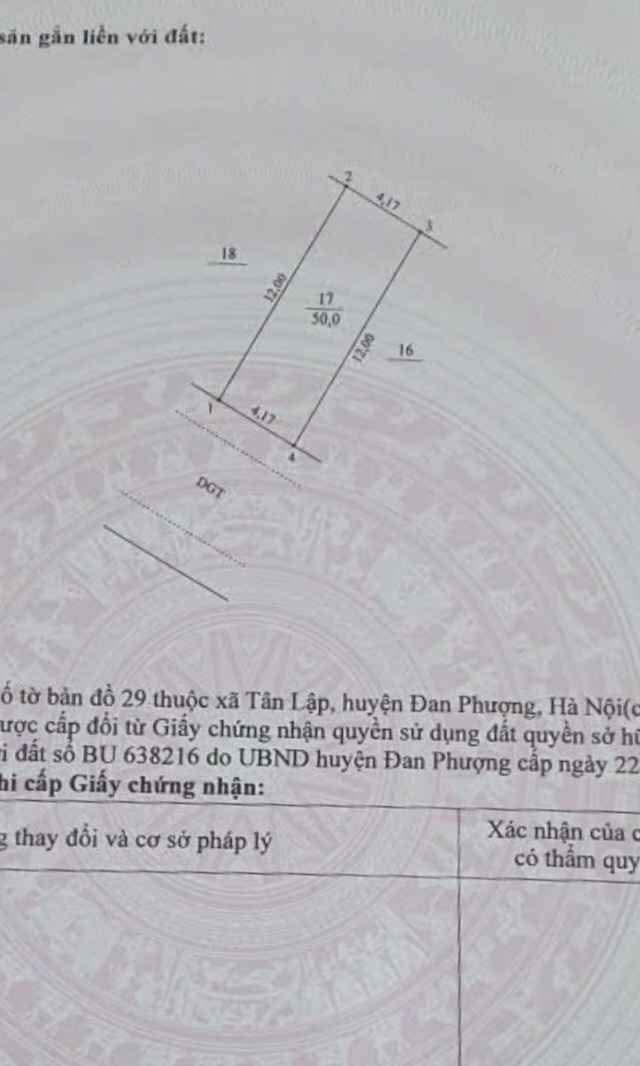 Đất dịch vụ Tân Tây Đô Đan Phượng 50m² - Vị trí đẹp đầu tư sinh lời!