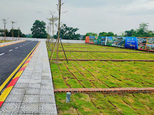 Đất nền Hòa Lạc 100m² giá tốt - Đầu tư sinh lời bền vững!