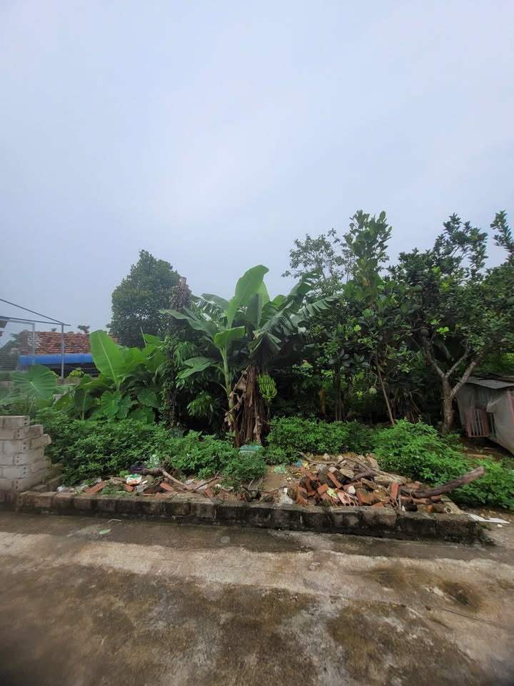 Đất nền đẹp tại Tân Xã, Thạch Thất 105m² giá 4.725 tỷ - Gần hồ và các tiện ích