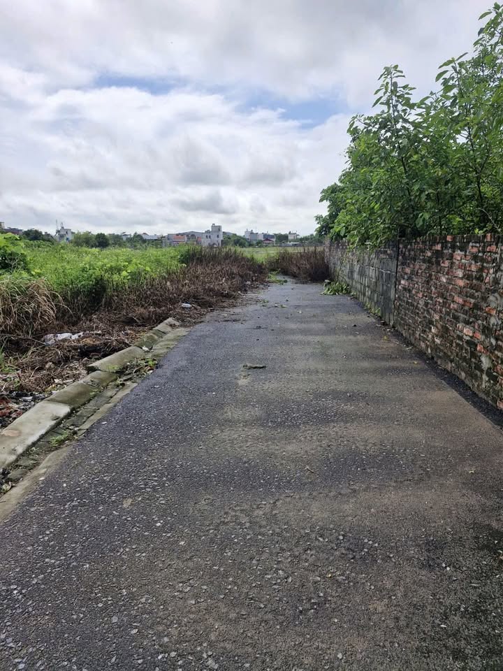 Đất nền liền kề Vũ Ninh, Kiến Xương 56m² chỉ 800 triệu - Cơ hội đầu tư hấp dẫn!