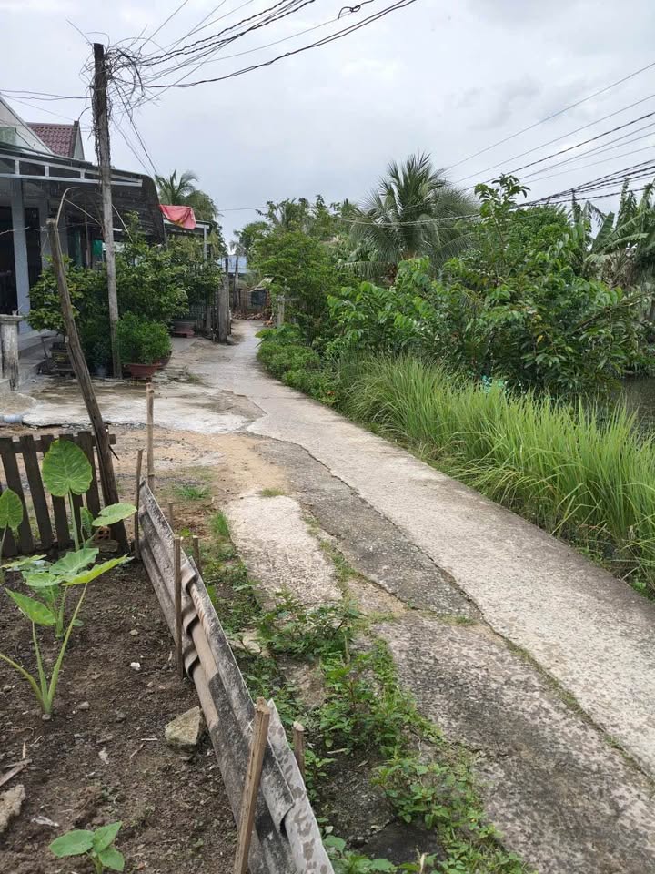 Đất đẹp Khánh Hậu Tân An 107m² giá 650 triệu - Chủ bán tặng nhà!