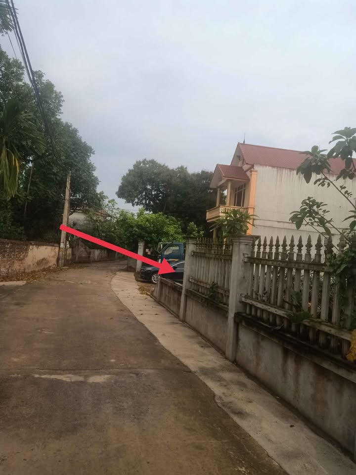 Đất nền Cẩm Lĩnh, Ba Vì 261m² giá 1.45 tỷ - Ô tô vào tận nơi!