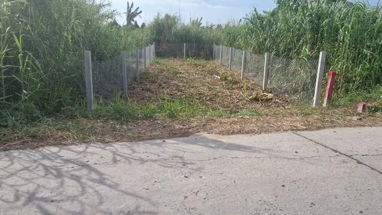 Đất thổ cư 88m², Phong Điền, Cần Thơ - Giá chỉ 470 triệu, ô tô vào tận nơi!