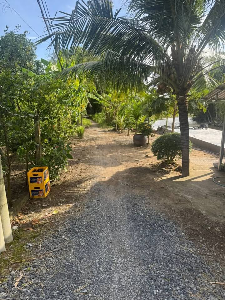 Đất thổ cư mặt tiền 2 mặt đường Thới Hưng, 432m² giá 3.8 tỷ - Cơ hội đầu tư tuyệt vời!